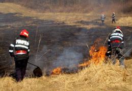 Verdict în cazul incendiului de la Viișoara în care au fost mistuite de flăcări 30 hectare de stufăriș și fâneață