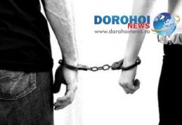 Mandate de arestare pentru doi minori din Dorohoi pentru furturi din autoturisme 