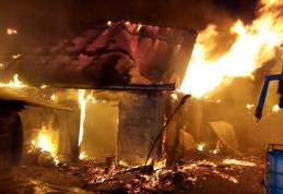Incendiu violent noaptea trecută, într-o gospodărie din localitatea Mihai Viteazu - FOTO