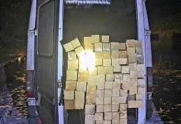 Material lemnos confiscat la Ștefănești și Vârfu Câmpului