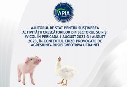 APIA primește cereri de ajutor de stat pentru susținerea activității crescătorilor din sectorul suin și avicol. Vezi termenul limită!