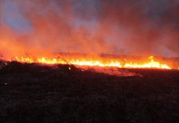 45 de hectare de vegetație uscată au ars, noaptea trecută, în comuna Havârna