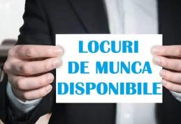 Locuri de muncă vacante la nivelul județului Botoșani la 3 iunie 2024