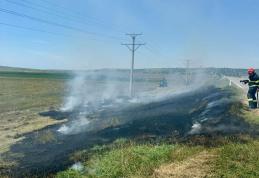 500 mp de vegetație au ars pe un câmp dintr-o localitate din județ. Pompierii au intervenit