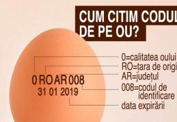 Cum citim corect eticheta de pe ouă. Ce înseamnă literele şi cifrele