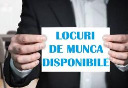 584 locuri de muncă vacante la nivelul județului Botoșani