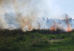 Incendiu la Suharău! Au ars vegetația uscată și stuful de pe aproximativ trei hectare