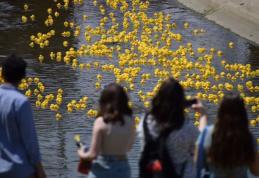 Vino la cea mai veselă competiție a toamnei: „Cursa de Rățuște”, pe râul de rafting de la Cornișa Aquapark! - FOTO