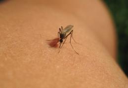 Un preot din Botoșani a murit după aproape trei săptămâni de luptă cu virusul West Nile