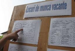 Locurile de muncă vacante la nivelul județului Botoșani la sfârșitul lunii septembrie