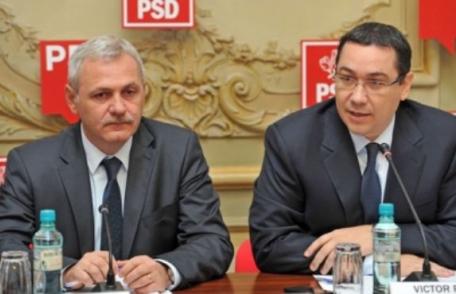 Liviu Dragnea: În cel mult o săptămână voi anunţa dacă candidez şefia PSD