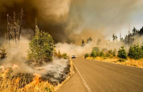 Oamenii de știință avertizează asupra unei catastrofe climatice. Luna ianuarie a fost cea mai caldă din toate timpurile