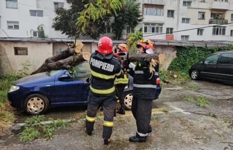 Mașini avariate de copaci căzuți după furtuna de ieri în Botoșani - FOTO