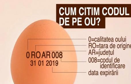 Cum citim corect eticheta de pe ouă. Ce înseamnă literele şi cifrele