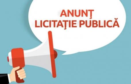 Primăria Dorohoi: Anunț de participare la licitație pentru închirieri spații / terenuri (domeniul public)