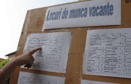 Locurile de muncă vacante la nivelul județului Botoșani la sfârșitul lunii septembrie