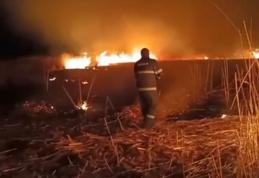 Incendiu de vegetație uscată și stufăriș la Havîrna. Pompierii au intervenit - FOTO