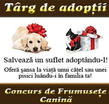 Targ de adoptii