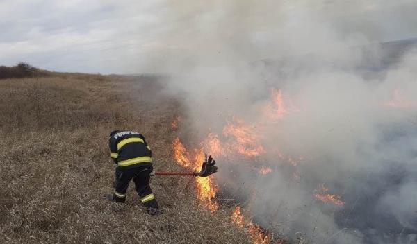 Incendiu Trusesti (5)