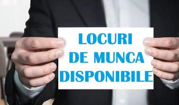 locuri-de-munca-vacante