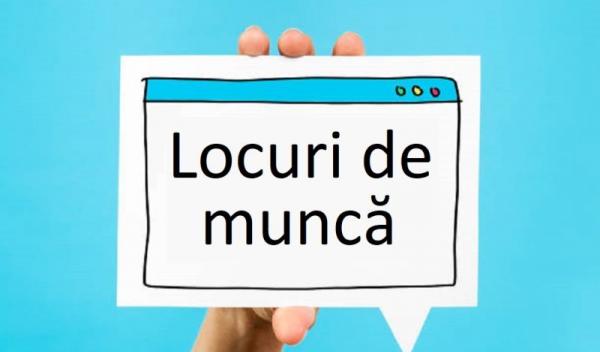 locuri-de-munca-joburi