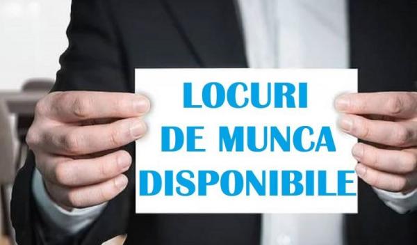 Locuri de munca_1