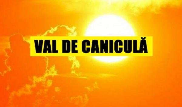 canicula_z