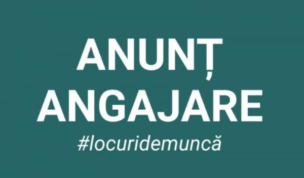 angajare-locuri-de-munca