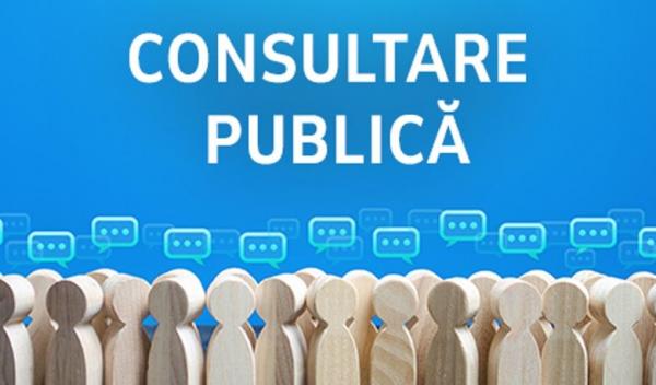 consultare poublica