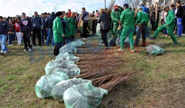 Actiune de plantare 20.04.2013 Dorohoi