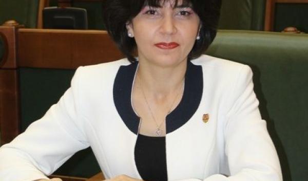 doina-senat-nov-2013-011